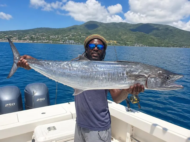 Kingfish (King Mackerel) caught in Montego Bay, Jamaica