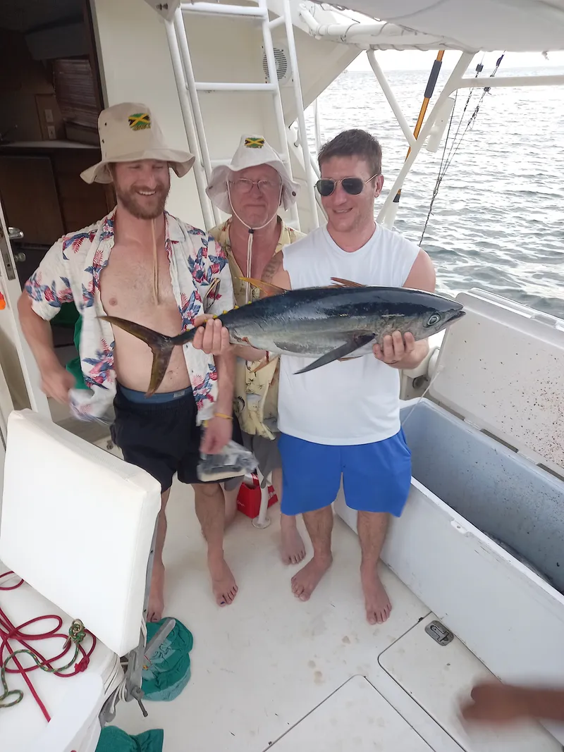 Yellowfin tuna