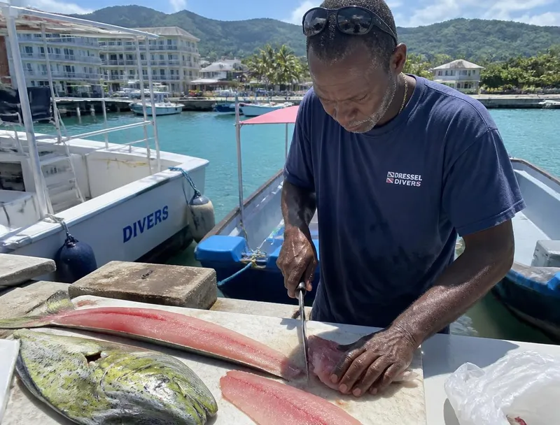 On-Board Catch Cleaning — included on every Vodka Shot fishing charter in Montego Bay, Jamaica